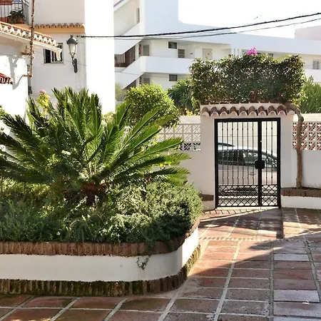 Coronado 58